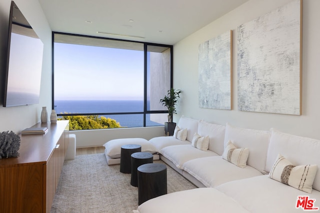 living room featuring a water view and light hardwood / wood-style flooring