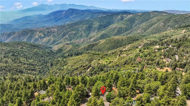 view of mountain feature