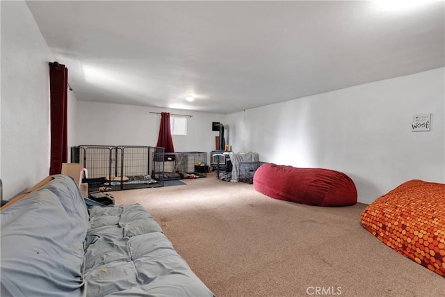 carpeted living room with a wood stove