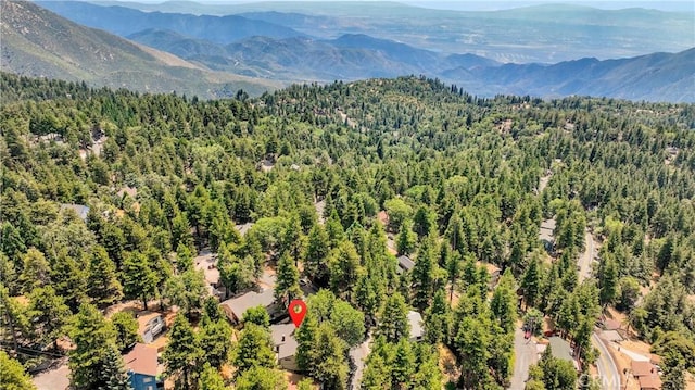 drone / aerial view featuring a mountain view