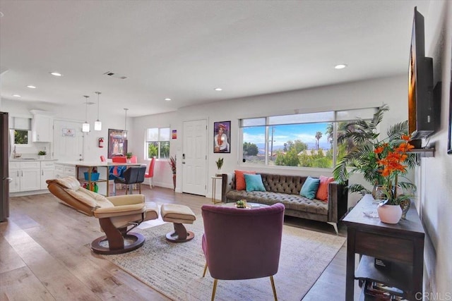 living room with light hardwood / wood-style flooring