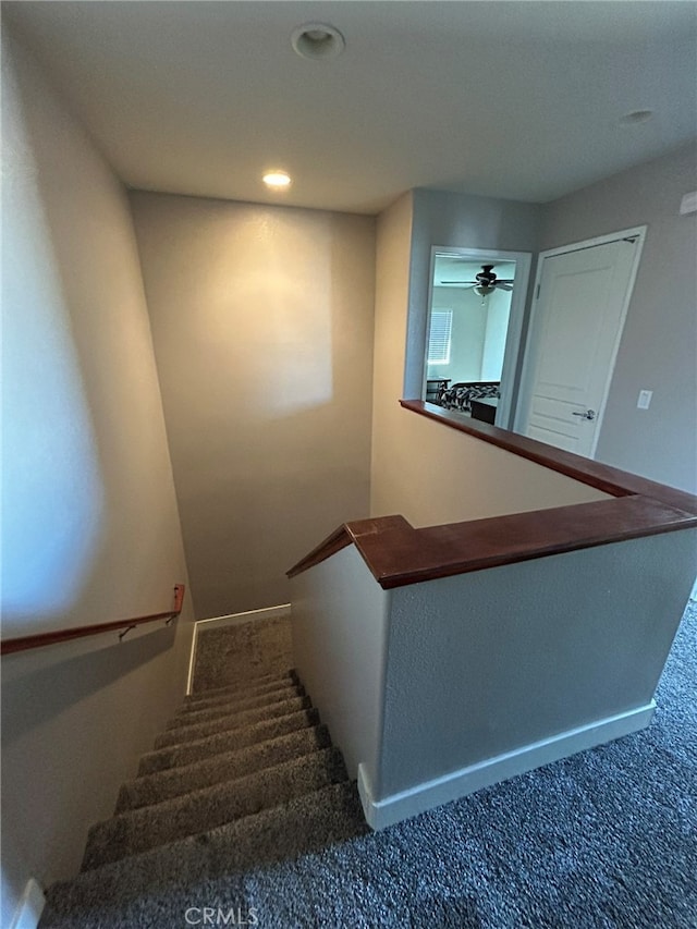 stairway featuring carpet and ceiling fan