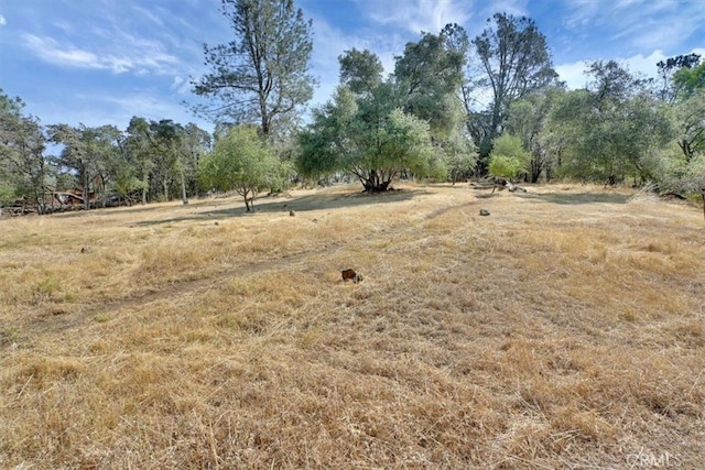 view of nature with a rural view