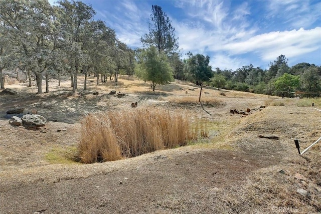 view of local wilderness featuring a rural view