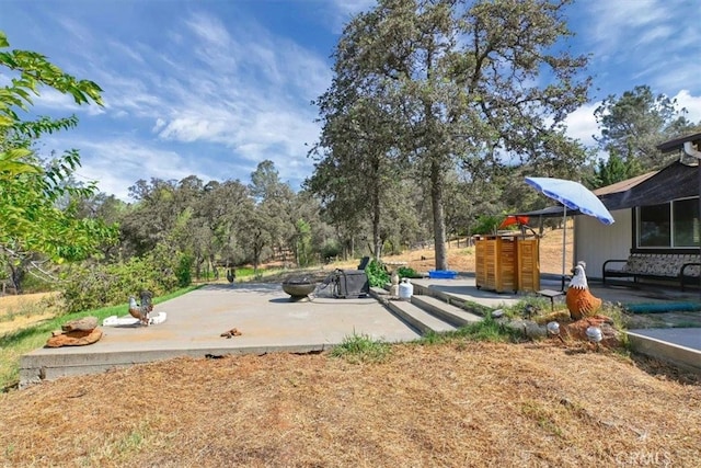 view of yard with a patio area