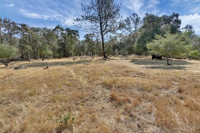 view of landscape with a rural view