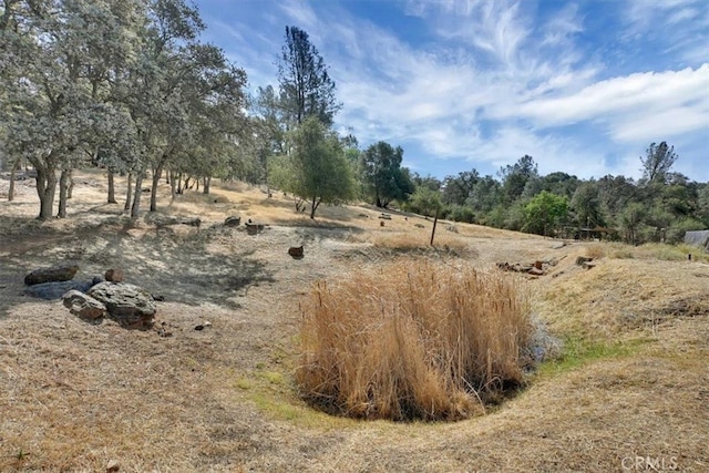 view of local wilderness featuring a rural view