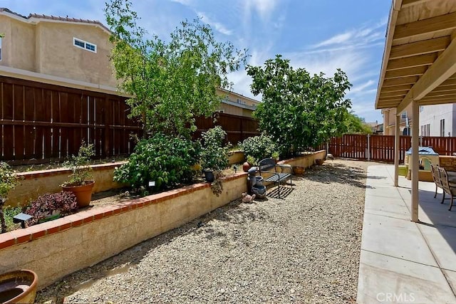 view of yard featuring a patio area