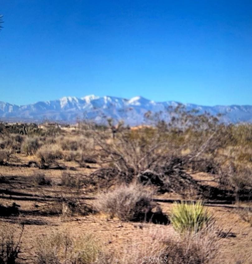 8888888 Smoketree, Hesperia, CA 92344