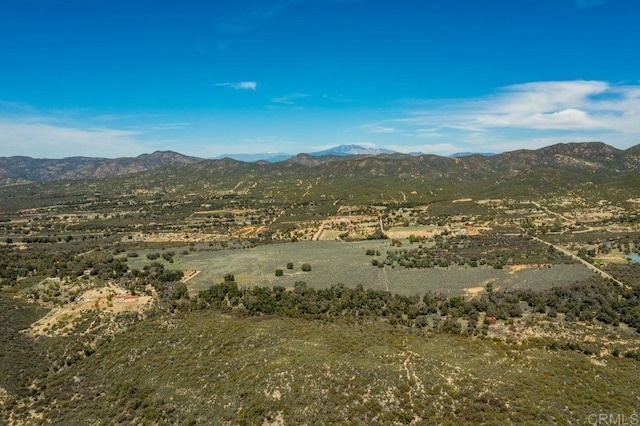 31225 Chihuahua Valley Rd, Warner Springs, CA 92086 - photo 4