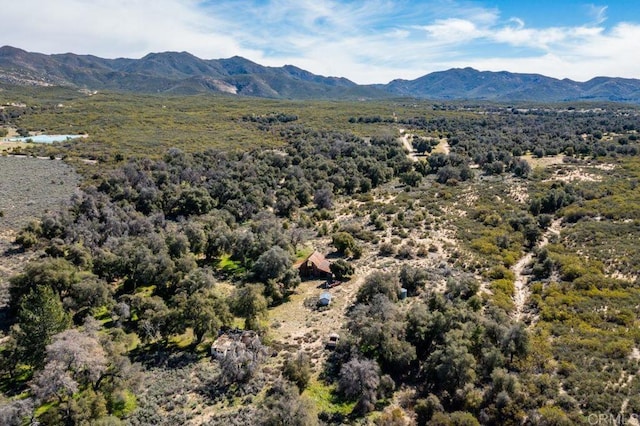 31225 Chihuahua Valley Rd, Warner Springs, CA 92086 - photo 6
