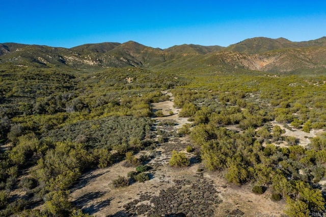 view of mountain feature