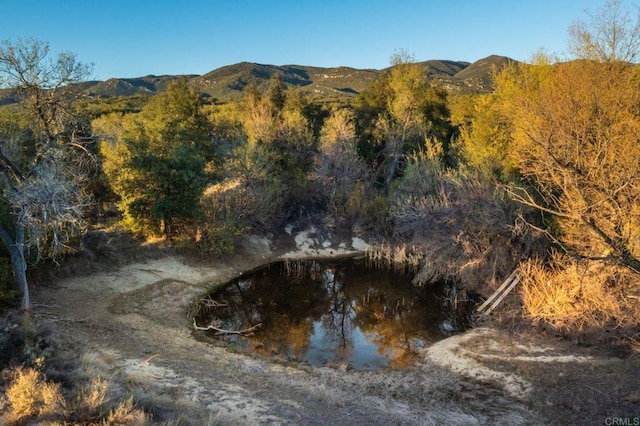 0 Chihuahua Valley Rd, Warner Springs, CA 92086 - photo 5