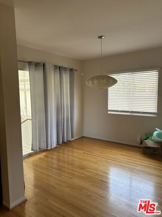 empty room with light wood-type flooring and a healthy amount of sunlight