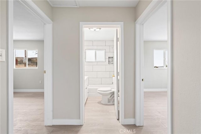 hallway featuring light hardwood / wood-style floors