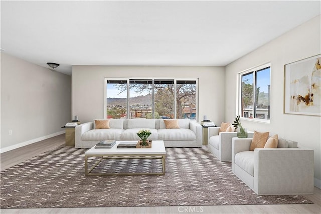 living room with a mountain view and wood-type flooring