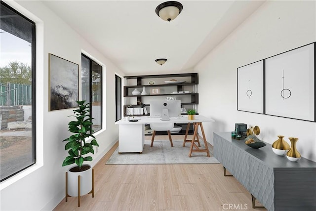 office featuring a healthy amount of sunlight and light hardwood / wood-style flooring