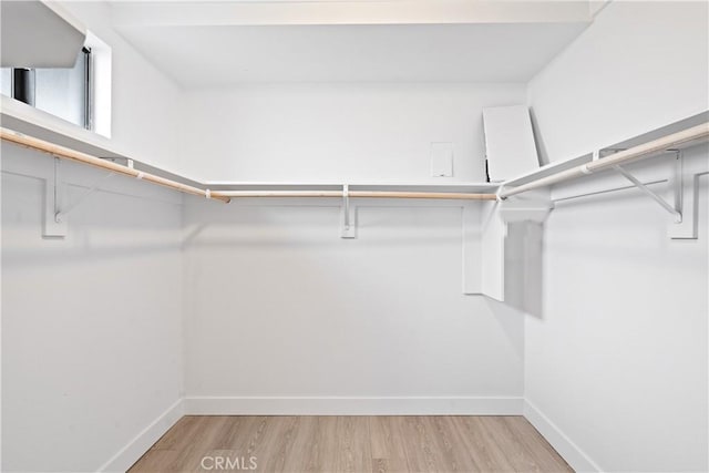 walk in closet featuring hardwood / wood-style floors