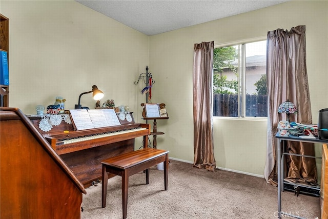 misc room with a textured ceiling and light colored carpet