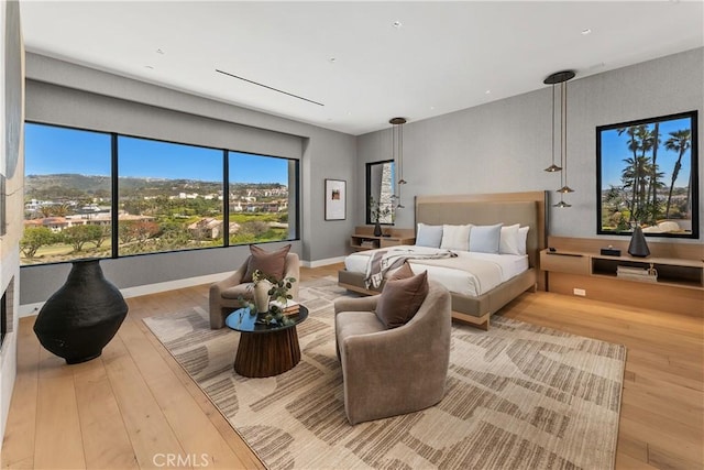 13 Ritz Cove Dr, Dana Point, CA 92629 - bedroom featuring hardwood / wood-style flooring