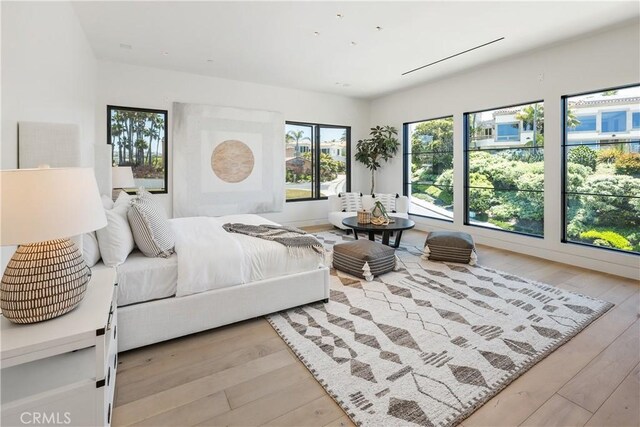 13 Ritz Cove Dr, Dana Point, CA 92629 - bedroom with light wood finished floors