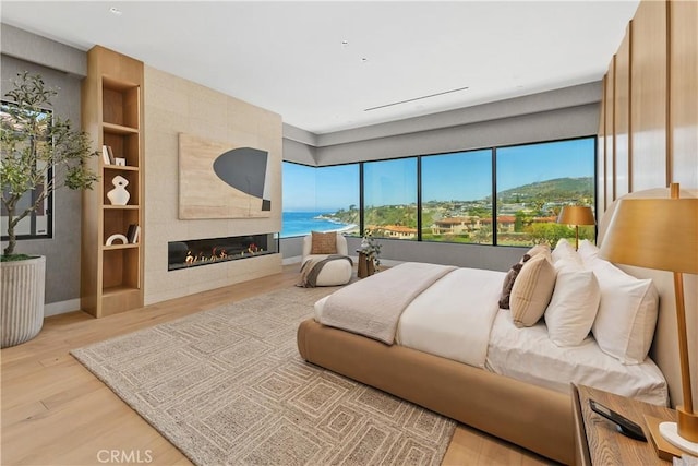 13 Ritz Cove Dr, Dana Point, CA 92629 - bedroom featuring wood finished floors and a tile fireplace