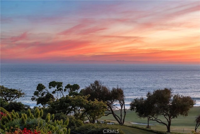 13 Ritz Cove Dr, Dana Point, CA 92629 - water view