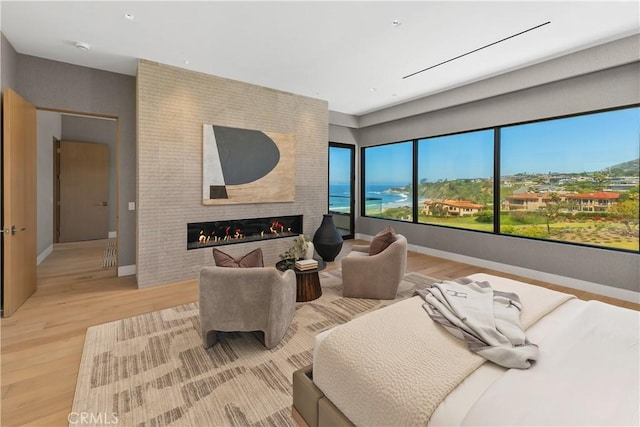 13 Ritz Cove Dr, Dana Point, CA 92629 - bedroom with a fireplace, wood finished floors, and baseboards