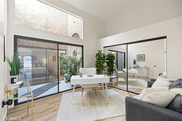 living room featuring light hardwood / wood-style flooring and high vaulted ceiling