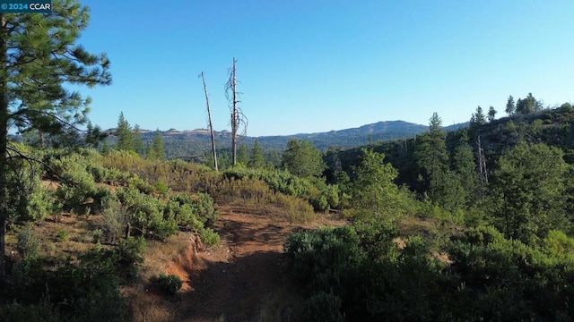 0 Fricot City Rd, CA, 95246 land for sale