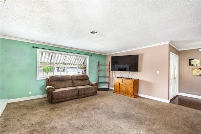 living room with carpet flooring and a textured ceiling