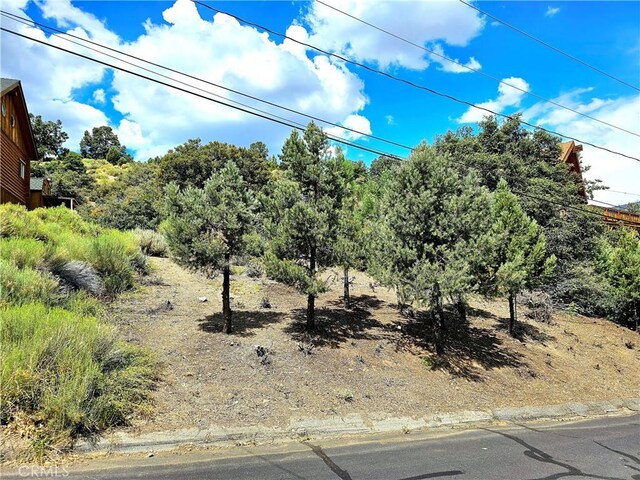 Listing photo 2 for 2005 Pioneer Way, Pine Mountain Club CA 93222