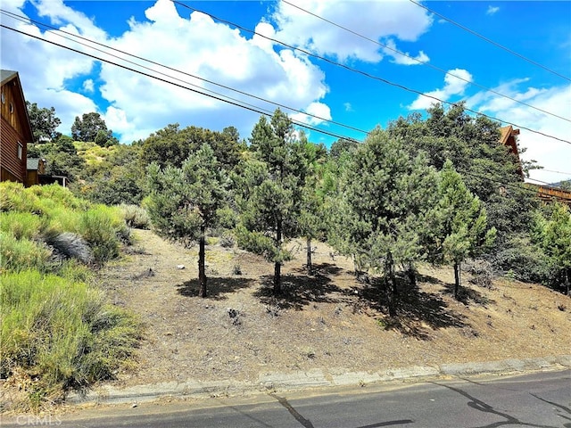 Listing photo 2 for 2005 Pioneer Way, Pine Mountain Club CA 93222