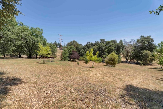 view of yard featuring a rural view