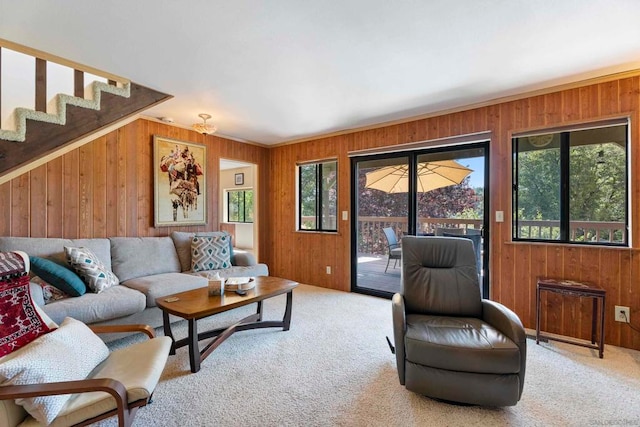 living room with wooden walls and carpet