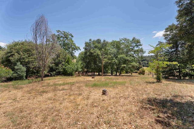 view of local wilderness featuring a rural view