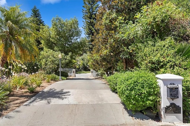 view of road featuring driveway