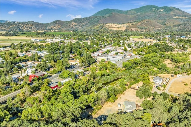 bird's eye view featuring a mountain view