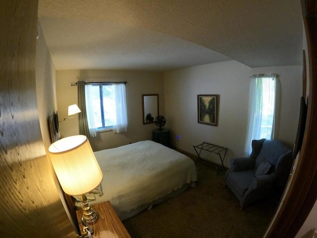 bedroom featuring lofted ceiling, a textured ceiling, and carpet flooring