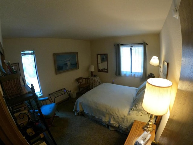 carpeted bedroom featuring multiple windows