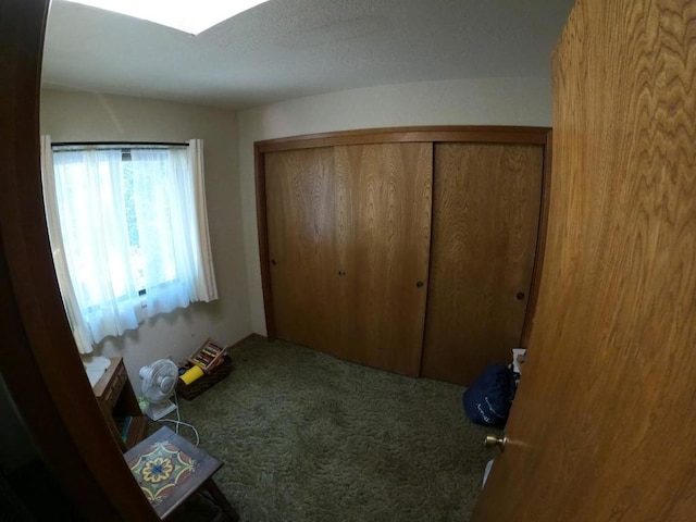 unfurnished bedroom with carpet and a closet