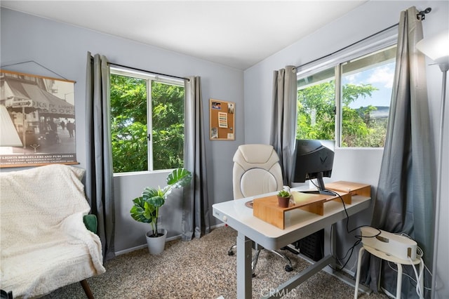 carpeted office space featuring plenty of natural light