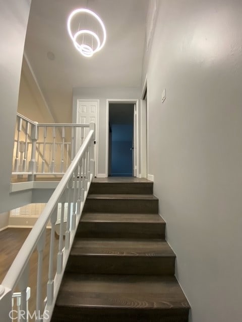 stairway with hardwood / wood-style flooring