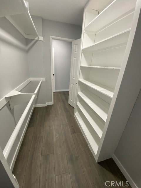 walk in closet featuring dark hardwood / wood-style floors