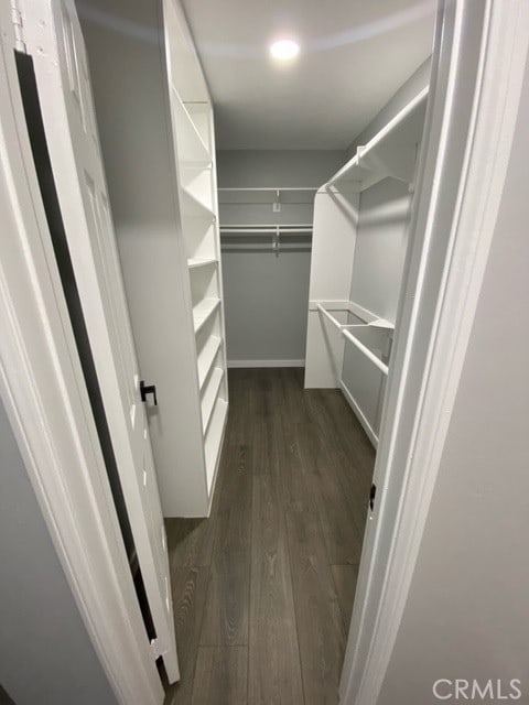 spacious closet featuring dark hardwood / wood-style flooring