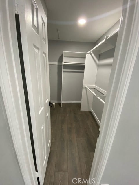 spacious closet featuring dark hardwood / wood-style flooring