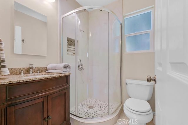 bathroom featuring a shower stall, toilet, and vanity