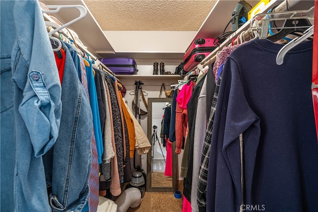 view of spacious closet