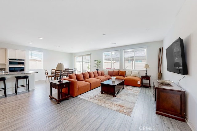 living room featuring light hardwood / wood-style floors