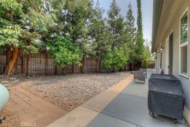 view of patio / terrace featuring grilling area